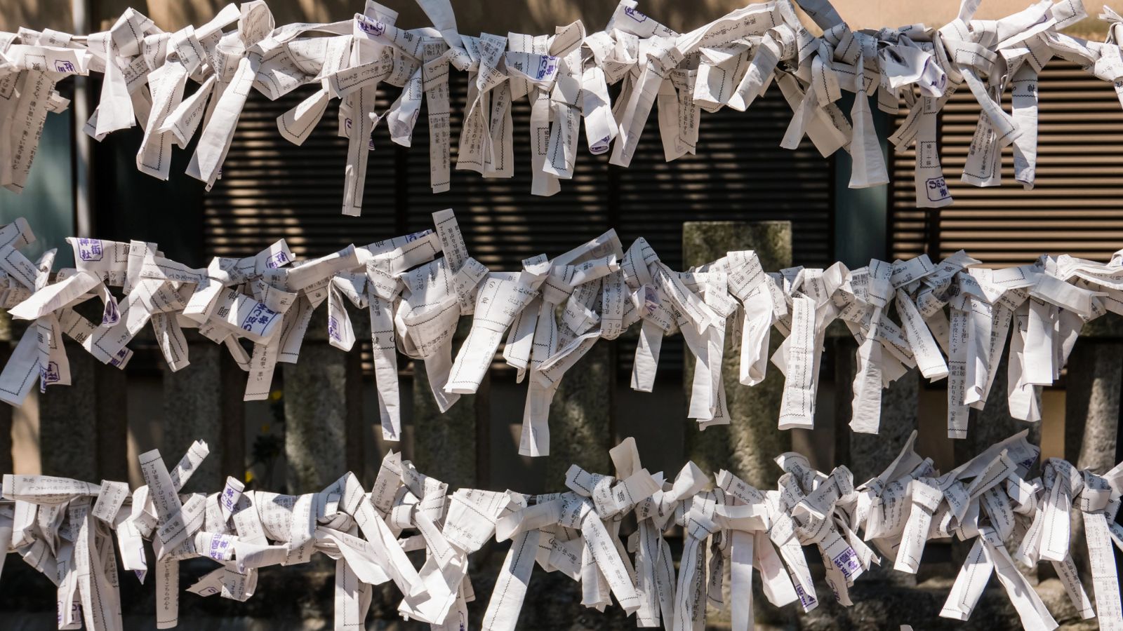 Omikuji: Japan’s Fortunes in Paper Strips