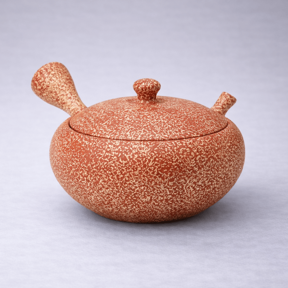 Gyokukou Shudei Hiramarukin Tataki Tea Pot Gyokukou Shudei Hiramarukin Tataki Tea Pot