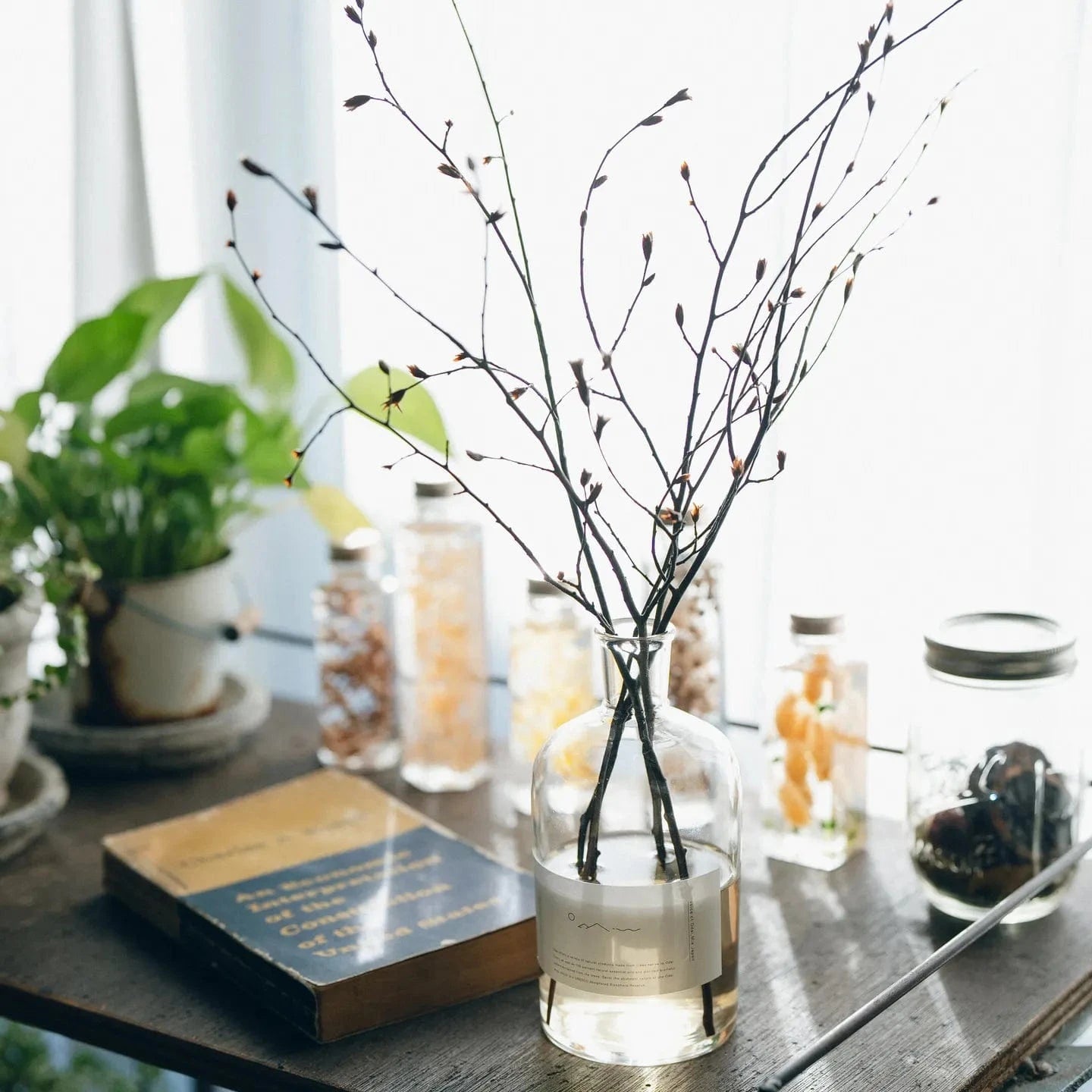 Inushidae Diffuser Set the Scent of the Forest (Faint Fragrance Type) Inushidae Diffuser Set the Scent of the Forest (Faint Fragrance Type) - Home Fragrance | MyJapaneseWorld