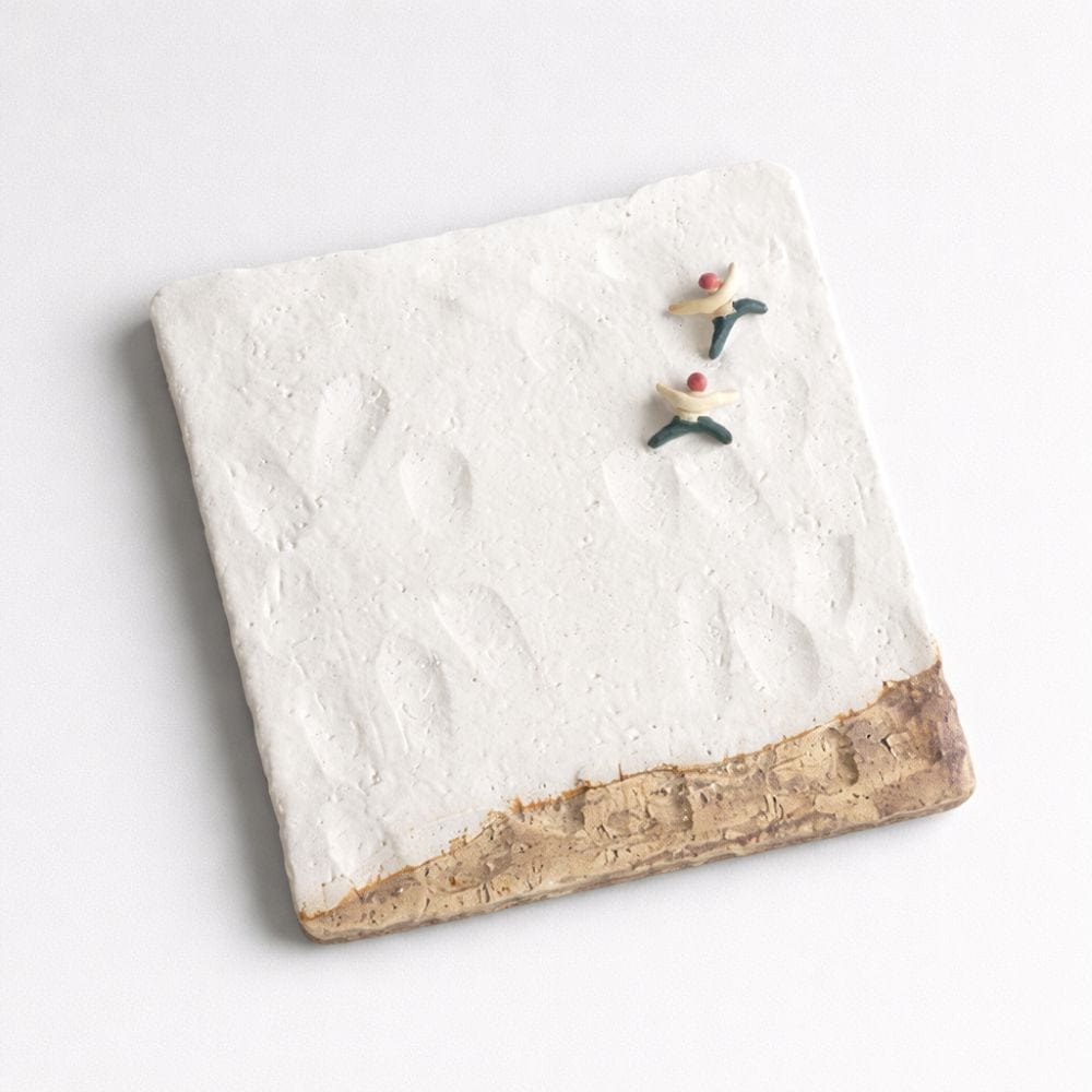 Mino Climbing Square Plate Winter Mino Climbing Square Plate Winter