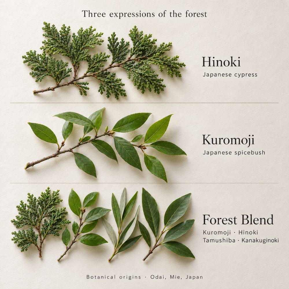Hinoki Room Fragrance Spray Hinoki Room Spray 100 ml | Odai | My Japanese World