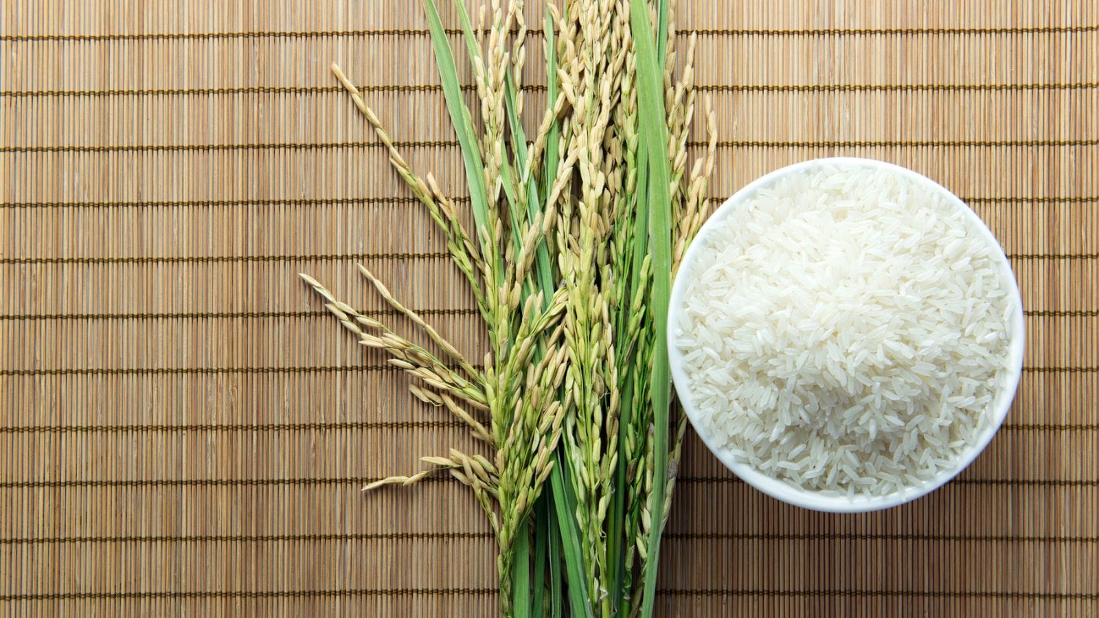 A bowl of rice next to wheat