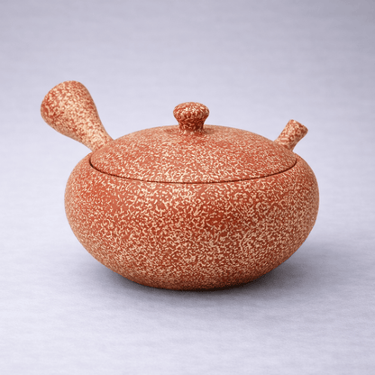 Gyokukou Shudei Hiramarukin Tataki Tea Pot Gyokukou Shudei Hiramarukin Tataki Tea Pot