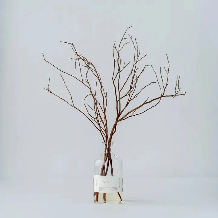 Himeshara Diffuser Set - The Scent of the Forest (Faint Fragrance Type) Himeshara Diffuser Set - The Scent of the Forest (Faint Fragrance Type) - Home Fragrance | MyJapaneseWorld
