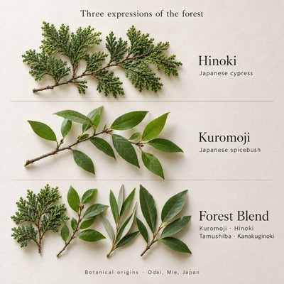 Hinoki Room Fragrance Spray Hinoki Room Spray 100 ml | Odai | My Japanese World