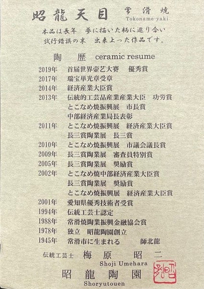 Tokoname Gold Lid Teapot Tokoname Gold Lid Teapot